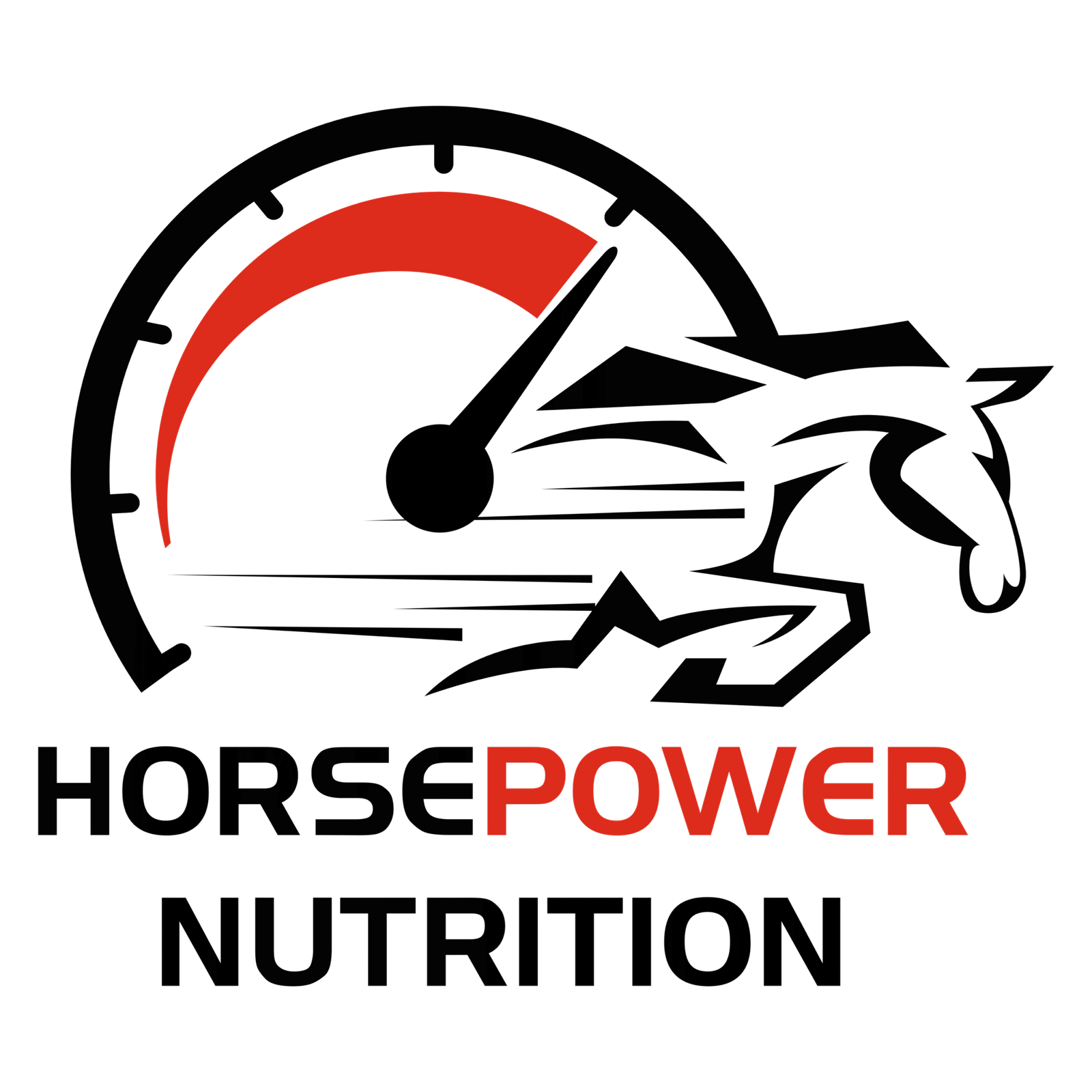 Horsepower Nutriton Store Hisar